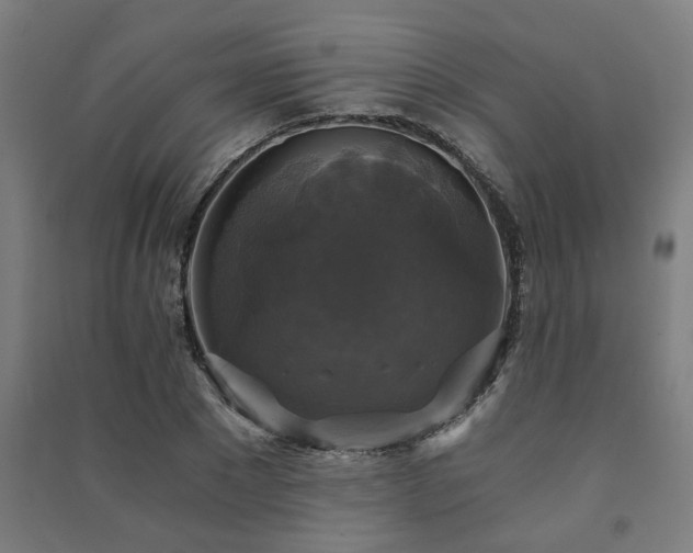 X0000091480881200708161416
