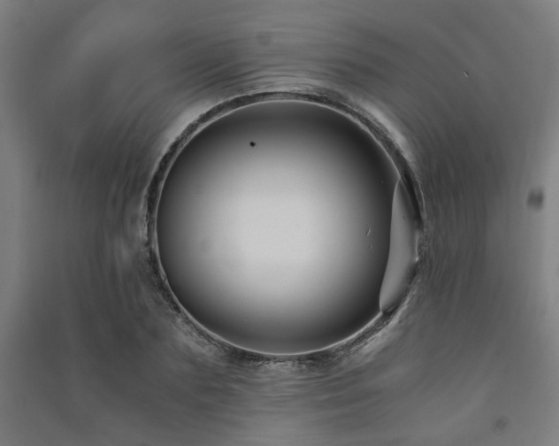 X0000091480883200708161416