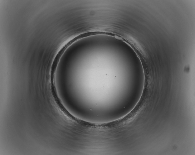 X0000091480884200708161416