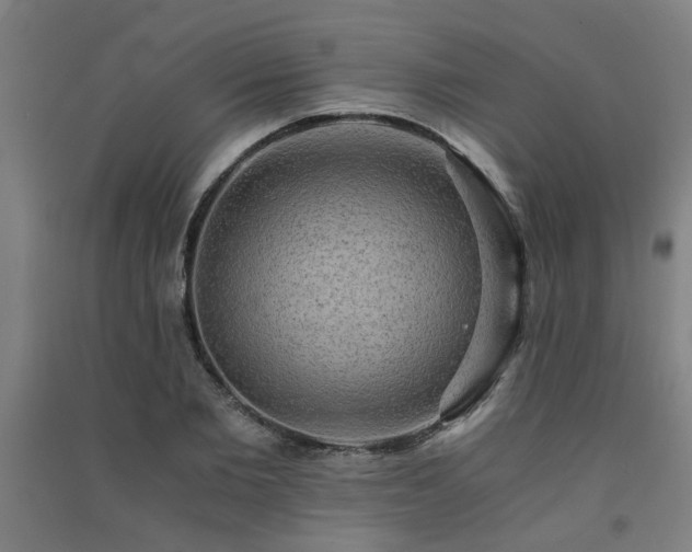 X0000091480885200708161416