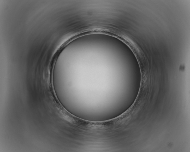 X0000091480886200708161416