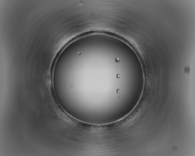 X0000091480887200708161416