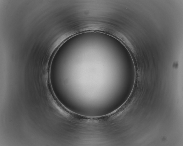 X0000091480890200708161416