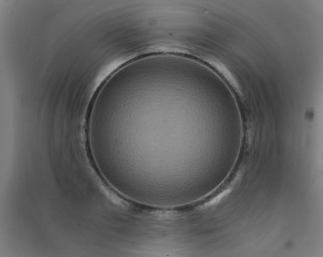 X0000091480893200708161416