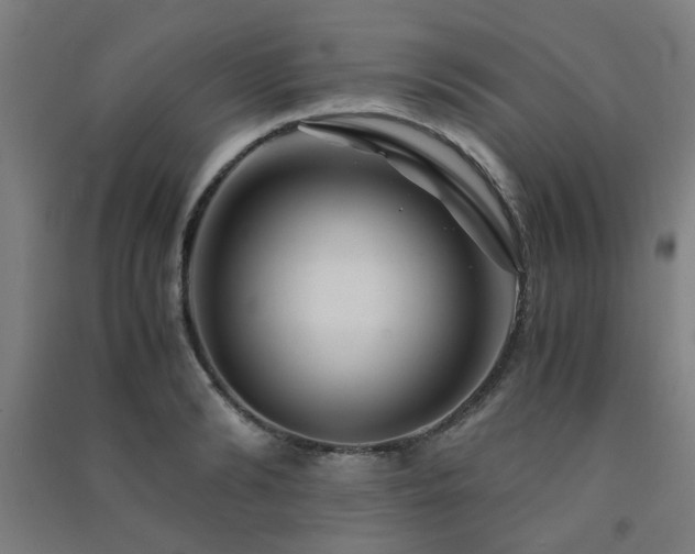 X0000091480894200708161416