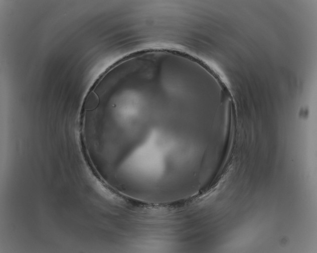 X0000091480895200708161416