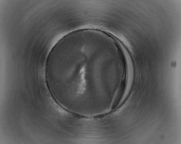 X0000091480896200708161416