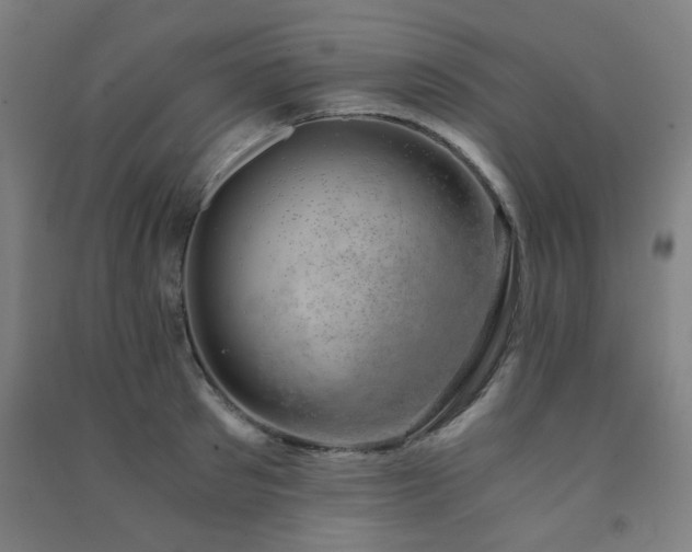 X0000091480897200708161416