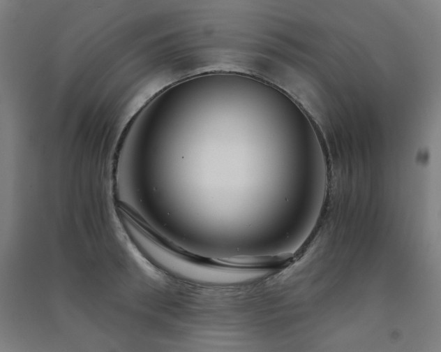 X0000091480898200708161416
