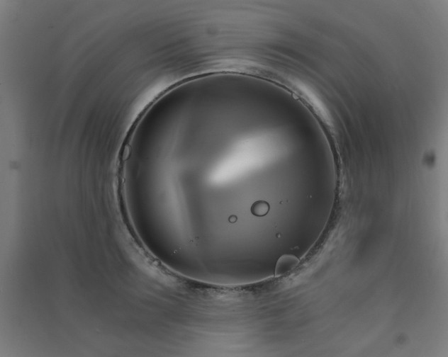 X0000091480899200708161416