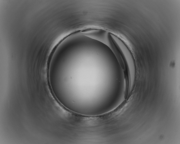 X0000091480902200708161416