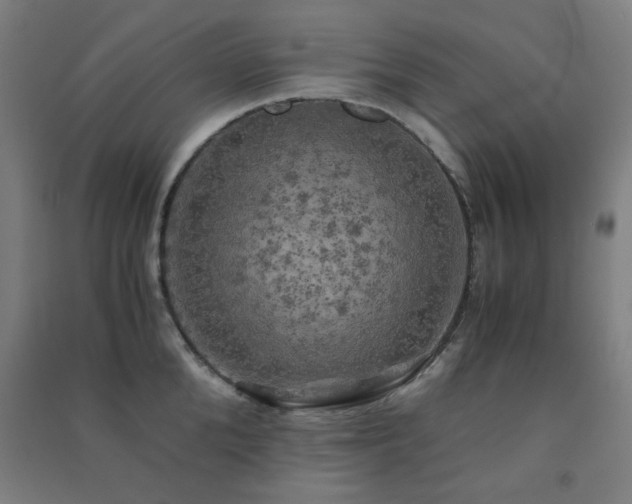 X0000091480904200708161416