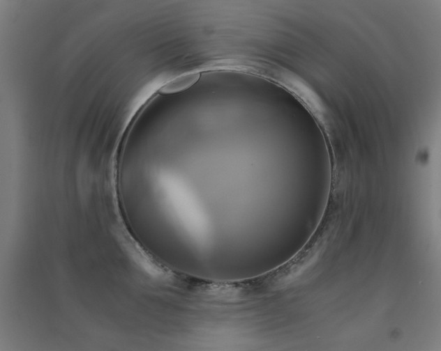 X0000091480907200708161416