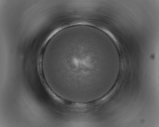 X0000091480910200708161416