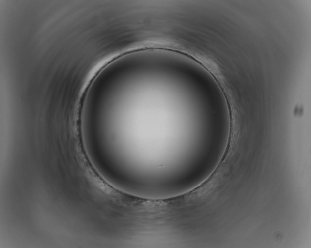X0000091480912200708161416