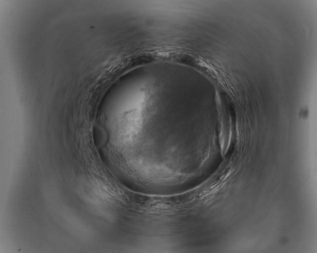 X0000091480913200708161415
