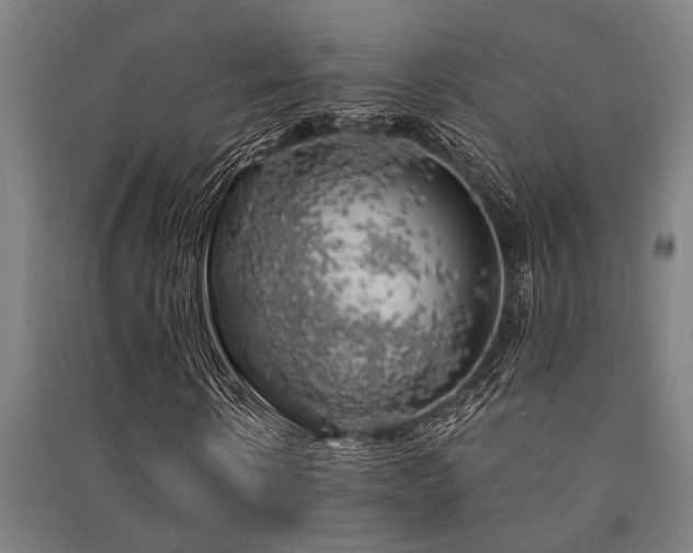 X0000091480914200708161415