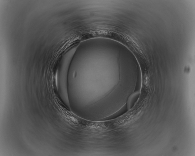 X0000091480915200708161415
