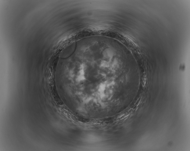 X0000091480917200708161415