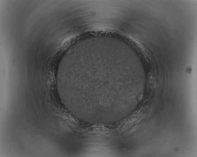 X0000091480918200708161415