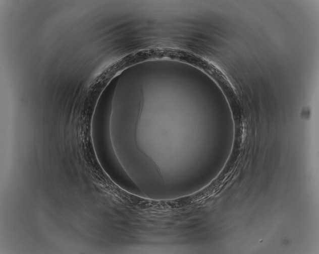 X0000091480919200708161415