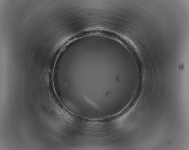 X0000091480921200708161415