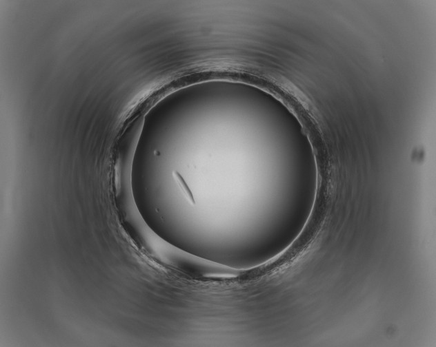 X0000091480922200708161415