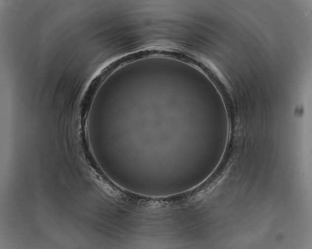 X0000091480923200708161415