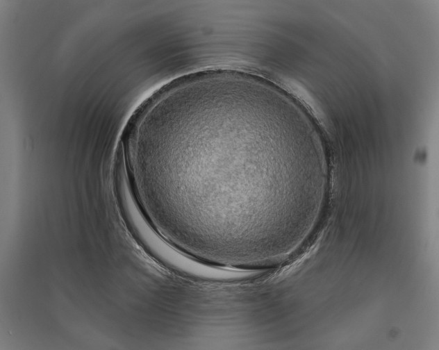 X0000091480924200708161415