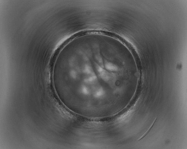 X0000091480925200708161415