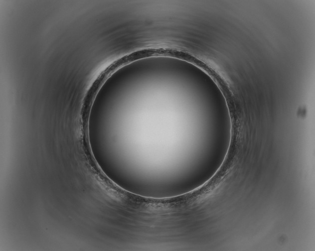 X0000091480927200708161415
