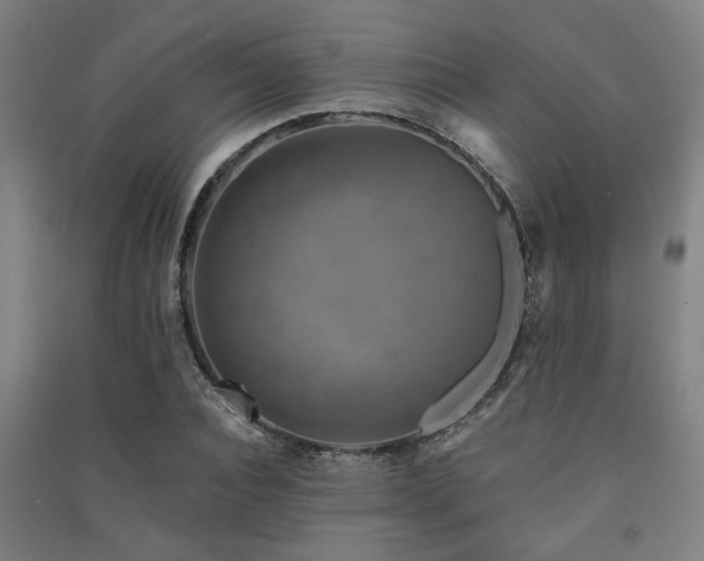 X0000091480928200708161416