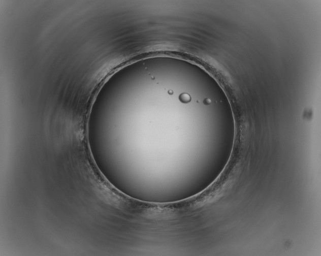 X0000091480929200708161416