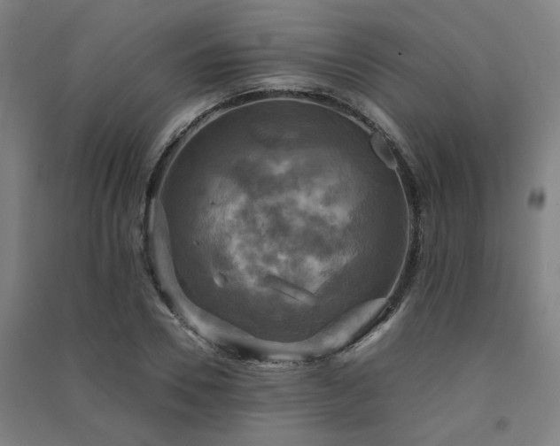 X0000091480930200708161416