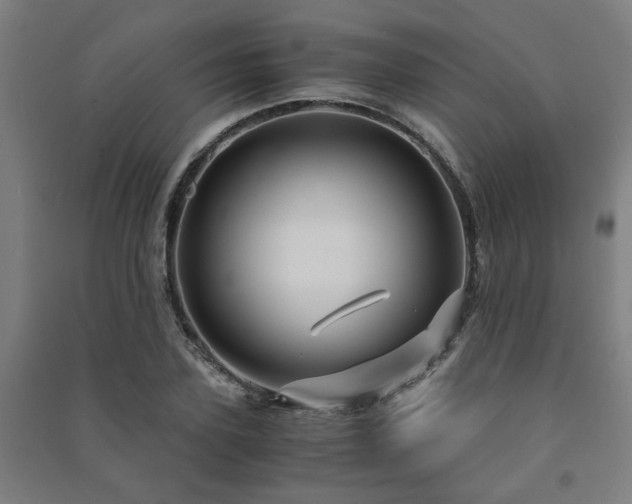X0000091480931200708161416
