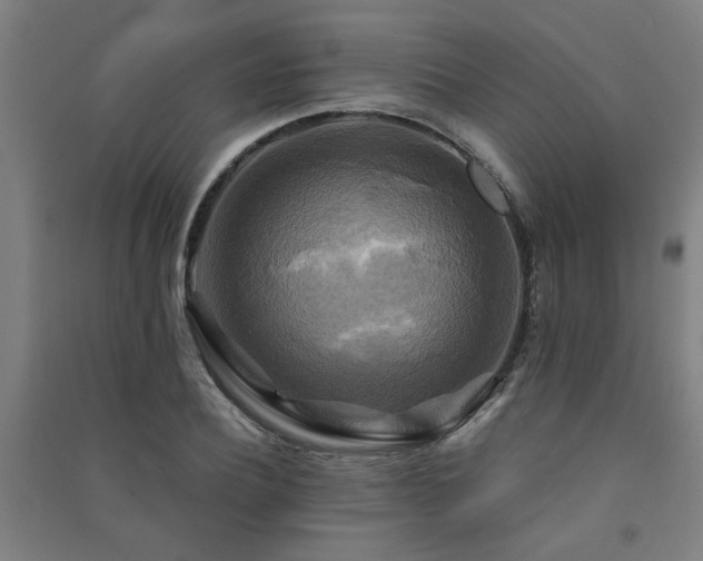 X0000091480932200708161416