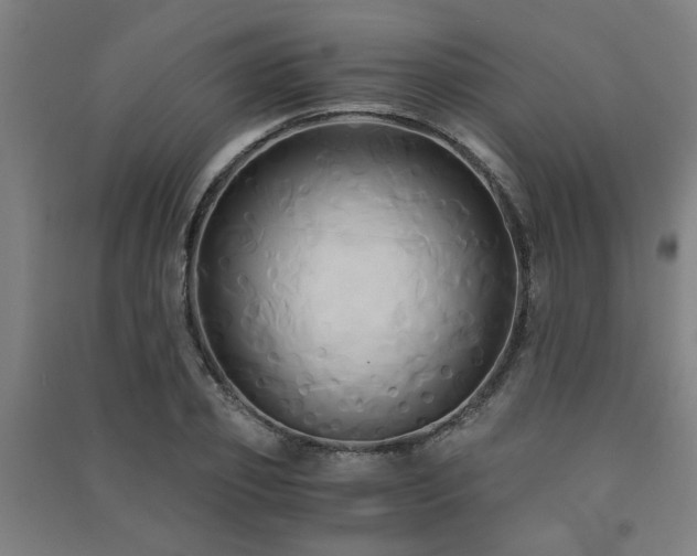 X0000091480933200708161416