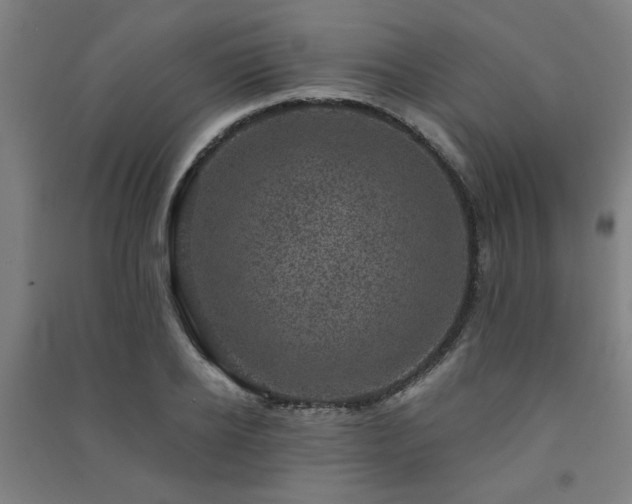 X0000091480934200708161416