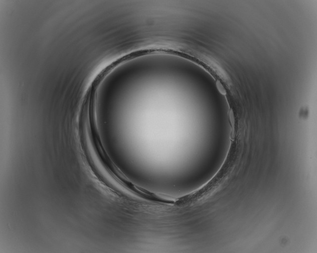 X0000091480936200708161416