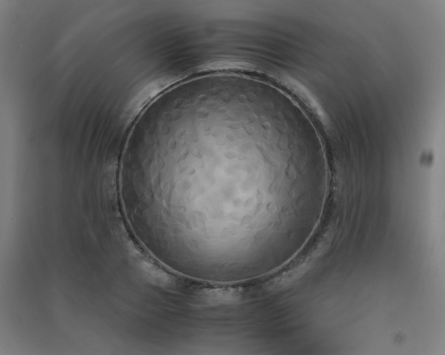 X0000091480937200708161416