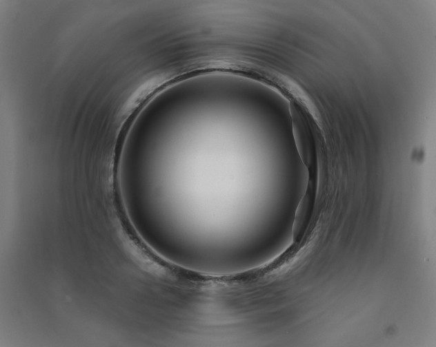 X0000091480938200708161416