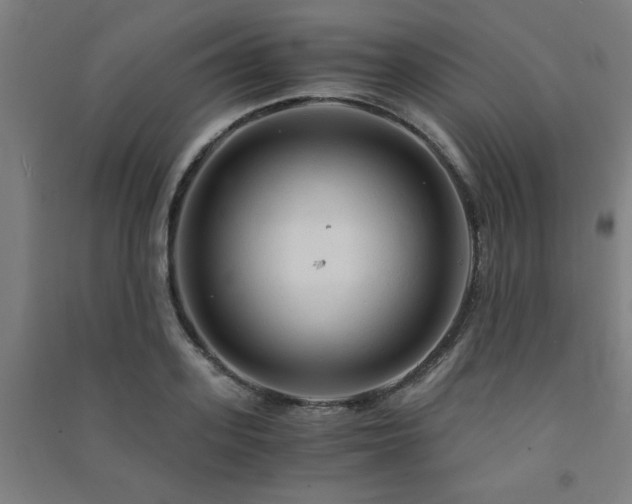 X0000091480939200708161416