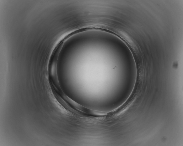 X0000091480940200708161416