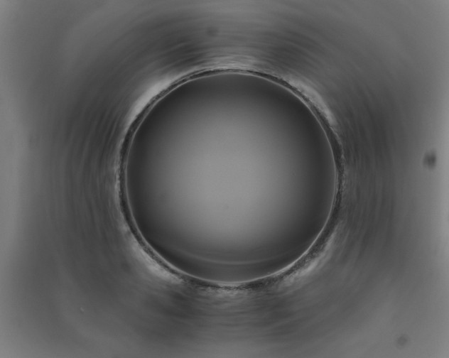 X0000091480941200708161416
