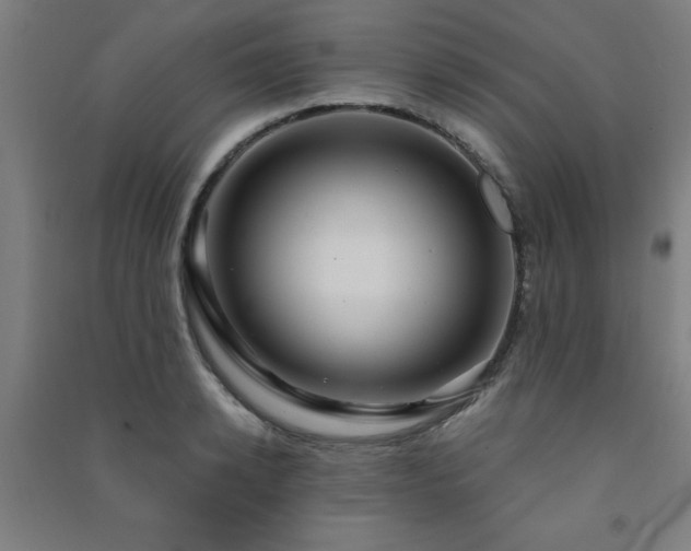 X0000091480942200708161416