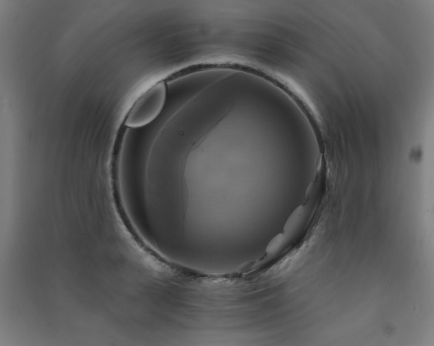 X0000091480943200708161416