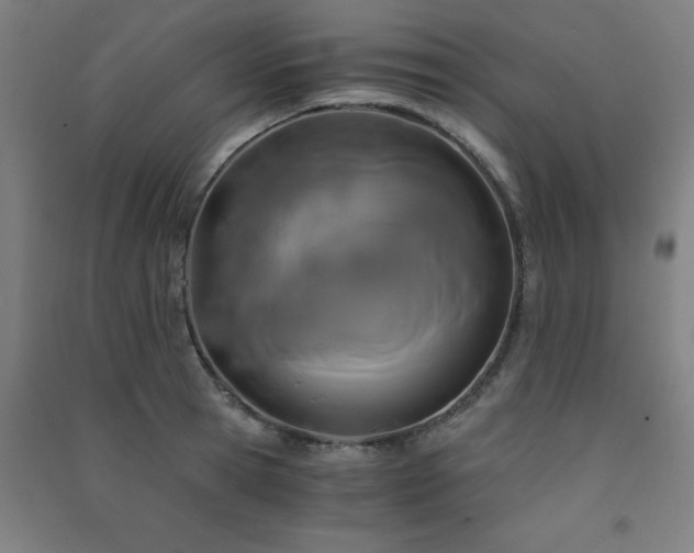X0000091480945200708161416