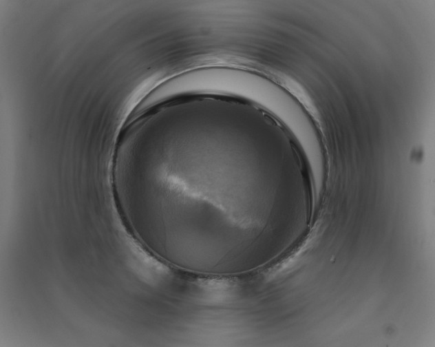X0000091480946200708161416