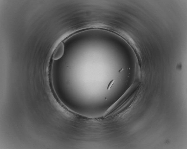 X0000091480947200708161416