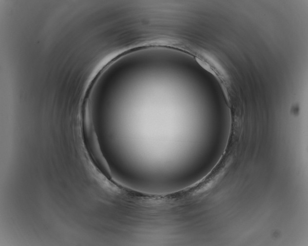 X0000091480948200708161416